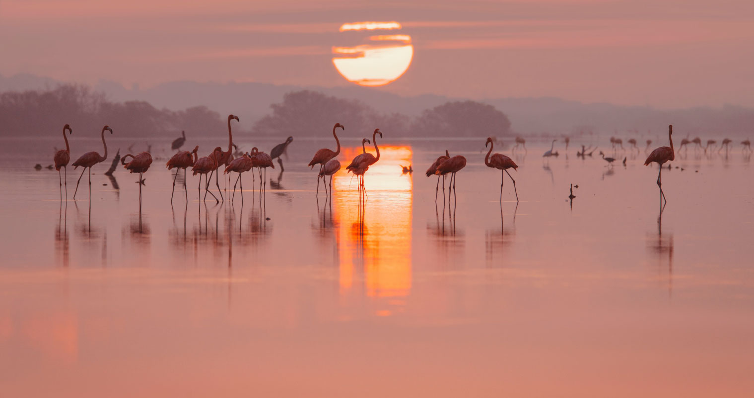Image slider